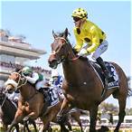 best melbourne cup bet